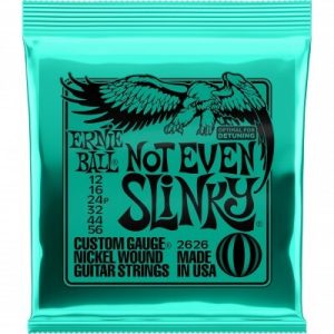 Ernie Ball Not Even Slinky